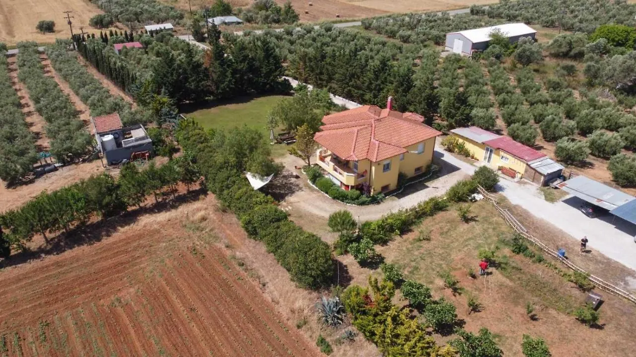 Natural Oasis Villa Nea Fokea 0*,  Greece